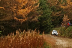 VW-WRC-2013-13-RM07-105358