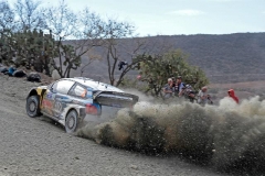 02_VW-WRC15-03-DRBR-4334