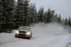 02_VW-WRC-2014-02-RB1-1136